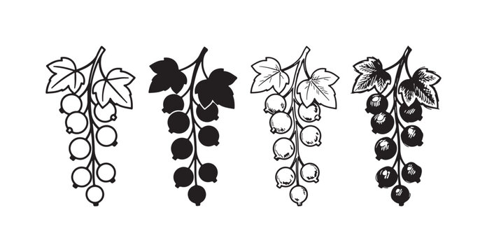 Four artistic renditions of a bunch of red currants with leaves, featuring outline, solid black, detailed line art, and a textured hand-drawn sketch, isolated on white.