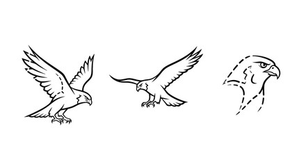 Obraz premium Detailed Illustrations of Eagle in Various Flying Poses.