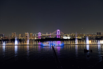 Fototapeta premium 東京湾に咲く光の花