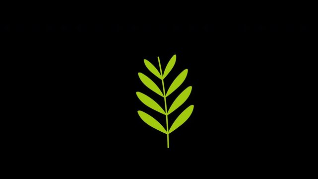 Green leaf on black background