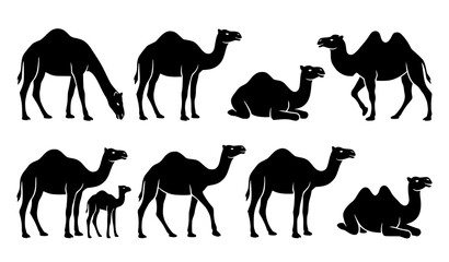 Desert Camel Silhouette Icons Monochrome Vector Illustration Set © Razu