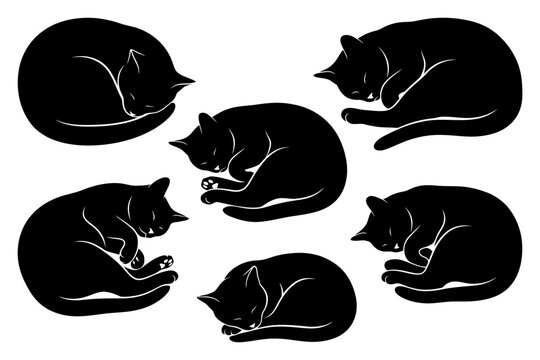 Silhouette of sleeping cats in various positions on white background.