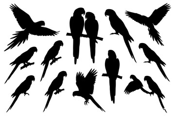 Obraz premium Silhouettes of parrots in various poses on white background.