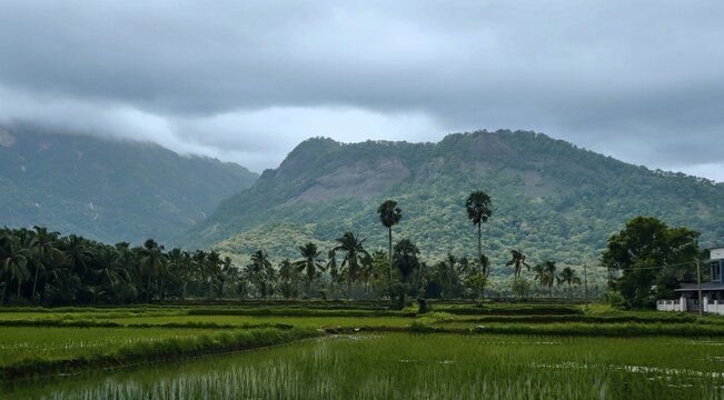 View of Nelliyampathy Hills in Kerala