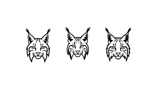 Detailed Lynx Face Line Art Illustration Set of Three.