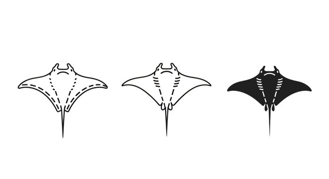 Illustrated manta ray silhouette in three distinct styles.