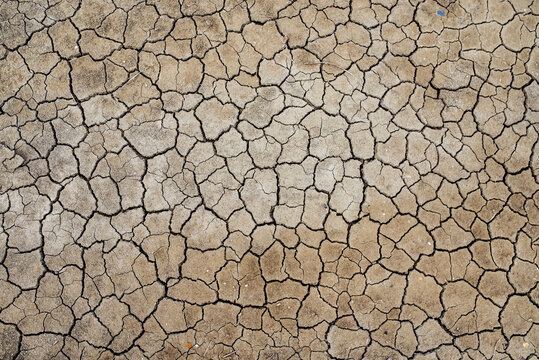 France, Marais salants de Guerande, dry cracked earth