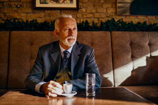 Portrait of elegant senior man sitting in a cafe