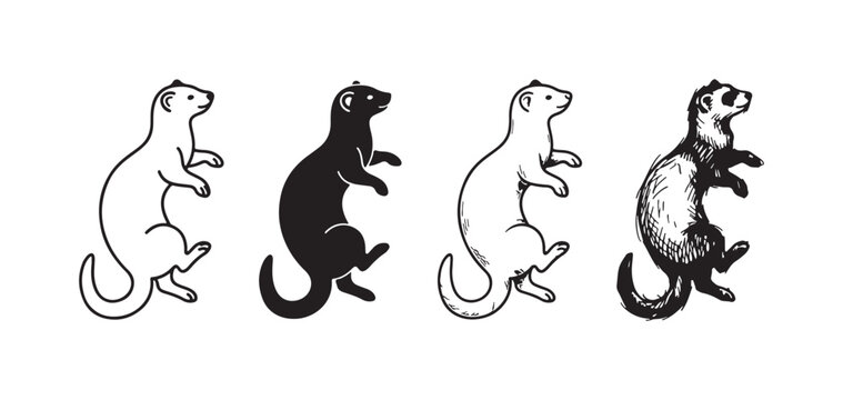 Ferret or weasel animal icon standing on hind legs, presented in outline, solid, and sketch art styles