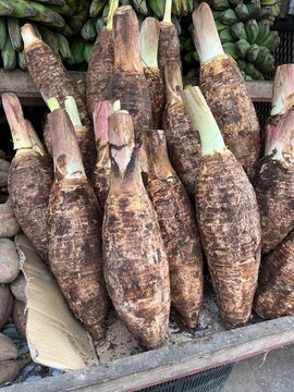 Fresh taro roots stacked at traditional market stall, tropical root vegetable display