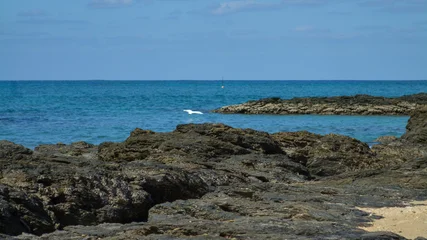 Fototapeten Tropischer Strand Tropical sea and blue sky background  © kai.jp