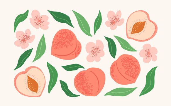 Collection of hand drawn abstract peach with leaves and flowers. Sweet summer fruit. Drawing art modern nature print. Vector flat illustration for pattern, card, poster, cover, t-shirt.