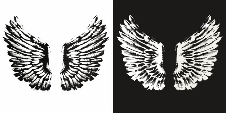 Stylized Feather Wings Vector Illustration Black And White Design