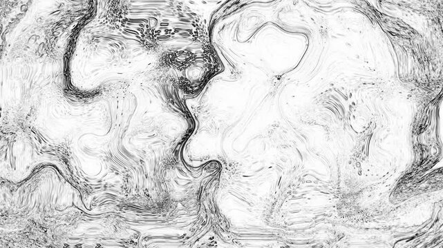 Monochrome Topographic Wave Line Art Draping
&bull;	Description: Abstract black and white background with fine liquid contour lines. Beautiful topographical sketch texture and marble patterns create an ele