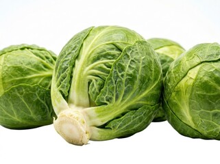 Obraz premium Fresh green cabbage heads arranged closely together on a clean white background