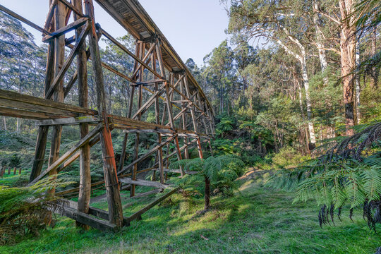 Noojee Trestle Bridge, Noojee, Victoria, Australia