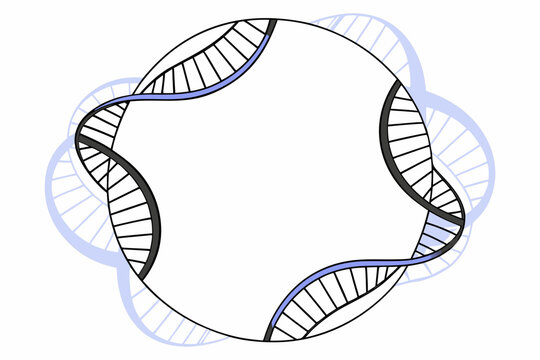 Vector graphic illustration of a stylized DNA double helix structure forming a circular design with intertwined strands in shades of black, blue on white background