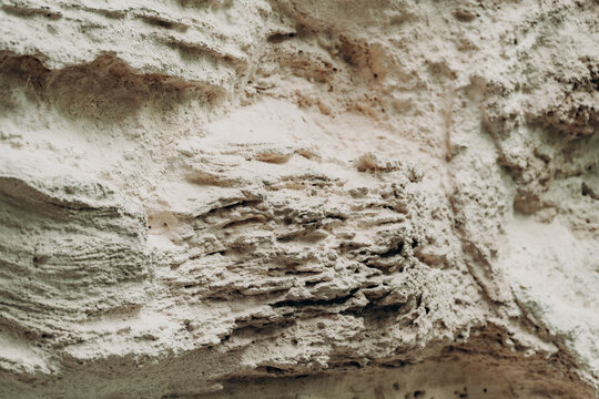 Natural limestone wall texture with layered erosion marks pale beige mineral surface rough stone relief organic geology pattern abstract background for earthy design nature travel and archaeology