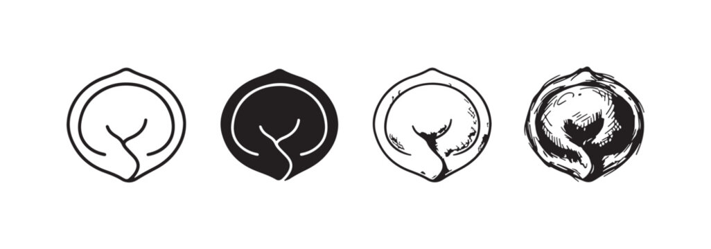 Set of traditional dumpling or pelmeni icons, available in clean outline, bold solid, and expressive hand-drawn sketch variations.