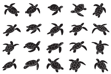 Sea turtle silhouette vector set, 20 black marine turtle icons, aquatic reptile swimming poses, ocean wildlife nature illustrations for logos © M