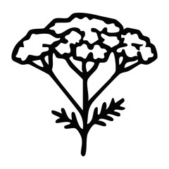 Yarrow flower achillea millefolium line art vector illustration, minimalist herbal botanical outline icon for organic cosmetics branding, traditional medicine logo, and vintage wedding stationery © LINER