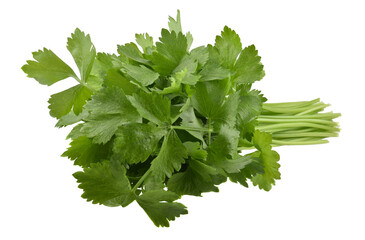Celery isolated on white background © SAKORN