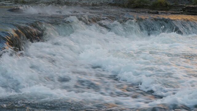 A chinook salmon leaps against the strong current at the Ganaraska River weir in Port Hope, Ontario. The annual autumn spawning migration shows fish battling whitewater rapids.