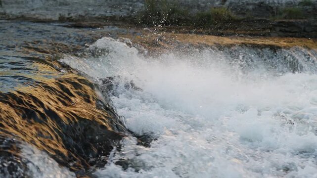 A determined salmon jumps through the aerated water of a river weir during the fall run.
