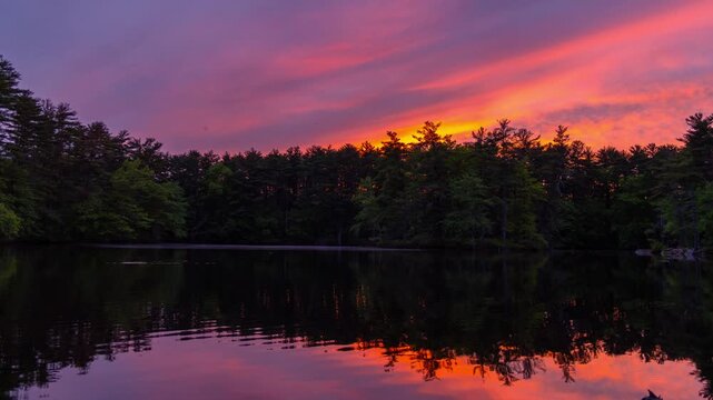 Time-lapse shot of Harold Parker State Forest lakeside landscape during beautiful vivid and late sunset moment, North Andover, Massachusetts, US