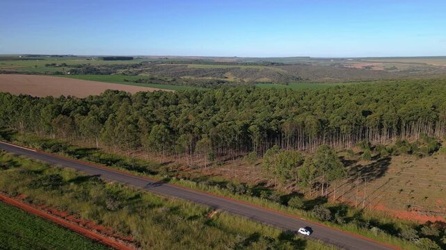 DF 130 rural highway bordering commercial eucalyptus plantation near N&uacute;cleo Rural Rio Preto, Planaltina, Federal District, Brazil, with cultivated timber landscape and Cerrado terrain, drone orbit
