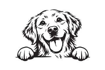 Golden Retriever peeking dog vector illustration, happy puppy head with paws over edge, black and white pet line art for t-shirt design and decals © M