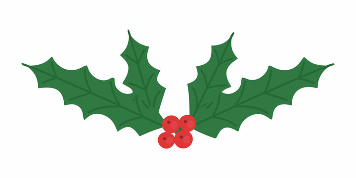 Holly Sprig Illustration With Red Berries On White Background