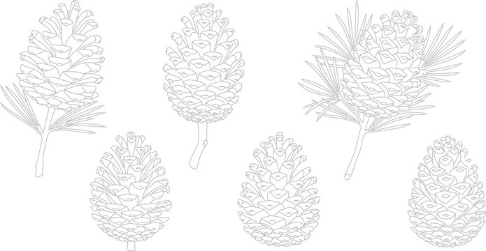Collection of Minimalist Nature Design Elements Featuring Simple Line Art Icons of Leaves, Trees, Mountains, and Sun for Modern Eco-Friendly Branding and Graphic Design