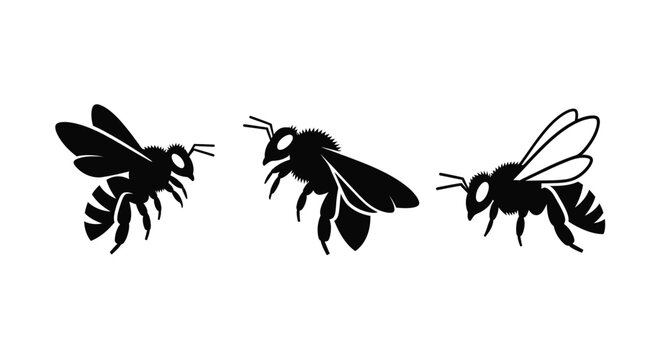 Dynamic collection of three elegant black bee vector silhouettes, captured in distinct flying poses, symbolizing the vital industriousness and ecological importance of pollinators in nature