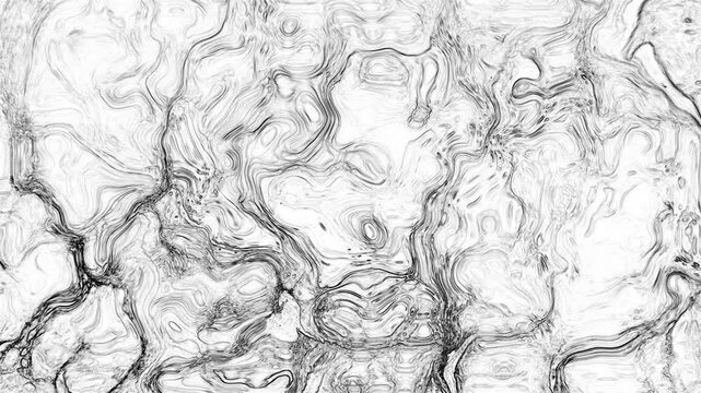 Monochrome Topographic Wave Line Art Draping
&bull;	Description: Abstract black and white background with fine liquid contour lines. Beautiful topographical sketch texture and marble patterns create an ele