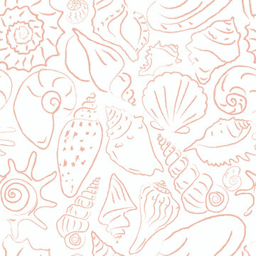 Vector seamless pattern with hand drawn sea shells. Summer print in sketchy style for fabric, wrapping paper, beach clothes, kids apparel, wallpaper, kitchen textile