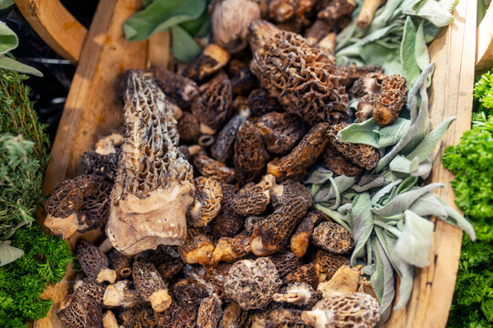 A high-angle close-up shot of a wooden basket filled with fresh, textured wild morel mushrooms. 