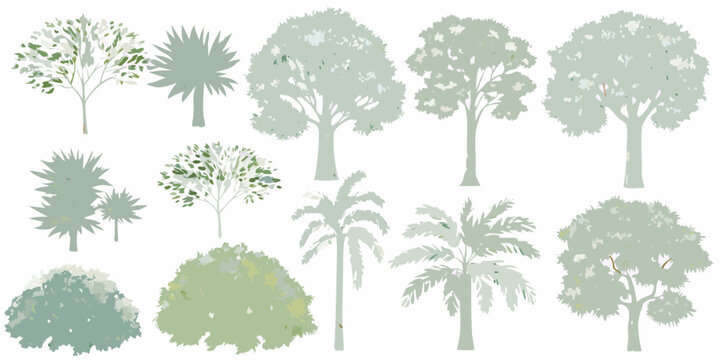 Tree Elevations Vector Illustration With Green And Gray Tones