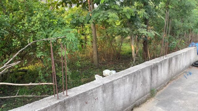 Exposed metal rebar reiforcement on concrete boundary wall