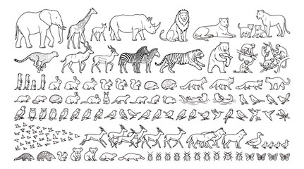 Minimalist wild animal line art collection, hand drawn safari and forest creature icons, black outline zoo animal vector set for coloring books © Ali