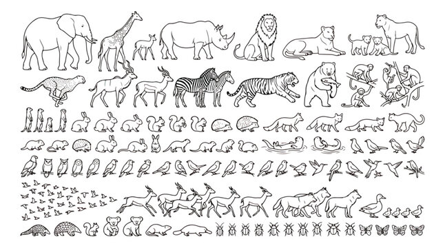 Minimalist wild animal line art collection, hand drawn safari and forest creature icons, black outline zoo animal vector set for coloring books