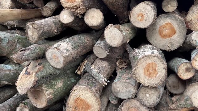Close-up texture of stacked wooden timber logs background