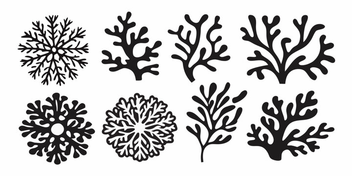 Coral And Seaweed Silhouettes Black Shapes On White Background