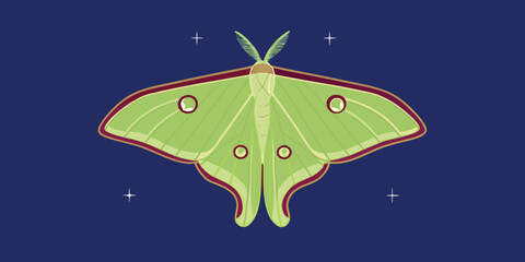 Luna Moth Illustration Green Insect With Detailed Wing Patterns © Ganesh