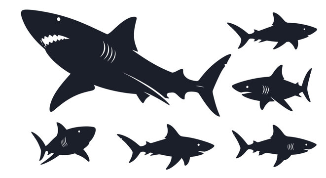 Set of vector illustrations depicting sharks in various poses and sizes against a white background