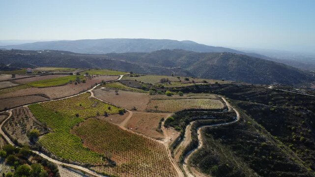 Cyprus rural landscape with extensive terraced vineyards growing on rolling hills and mountains, with dirt roads winding through the agricultural fields under clear blue sky. Aerial view drone flight