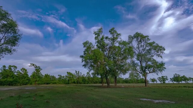 Guliakhali sea beach (also known as Muradpur beach) is located at Muradpur, Sitakunda in Chittagong Division, Bangladesh. It is 5 kilometres away from Sitakunda town.