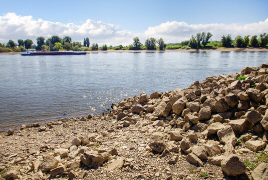 Blick auf den Rhein im Sommer