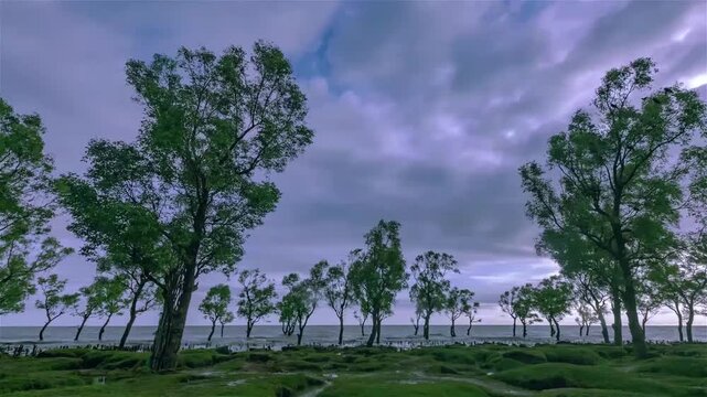 Guliakhali sea beach (also known as Muradpur beach) is located at Muradpur, Sitakunda in Chittagong Division, Bangladesh. It is 5 kilometres away from Sitakunda town.
