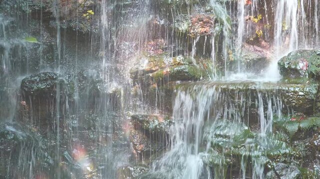 Static shot of clear water trickling down a stone wall covered with green moss and autumn leaves , horizontal , landscape